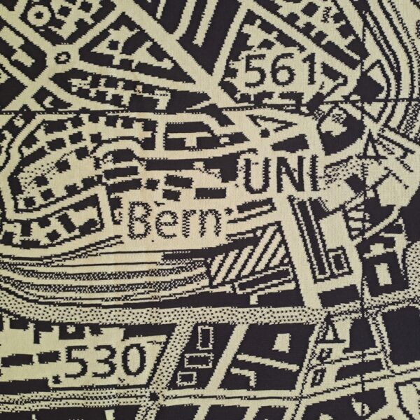 Topodecki Stadt Bern – Bild 3