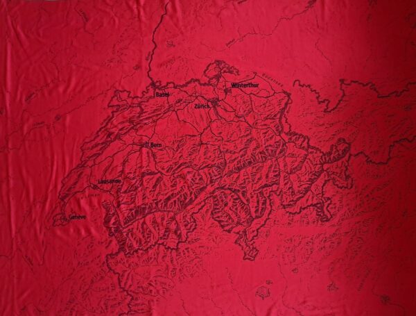 Topodecki Schweiz Zoom – Bild 2