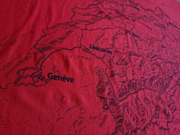 Topodecki Schweiz Zoom – Bild 3